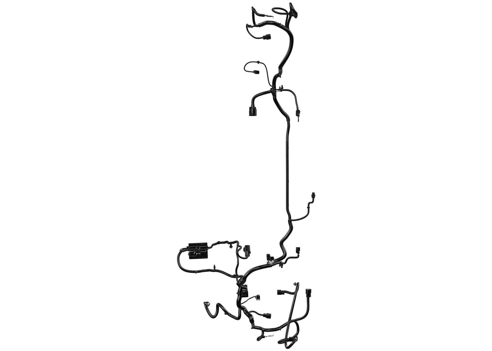 Alternate Image