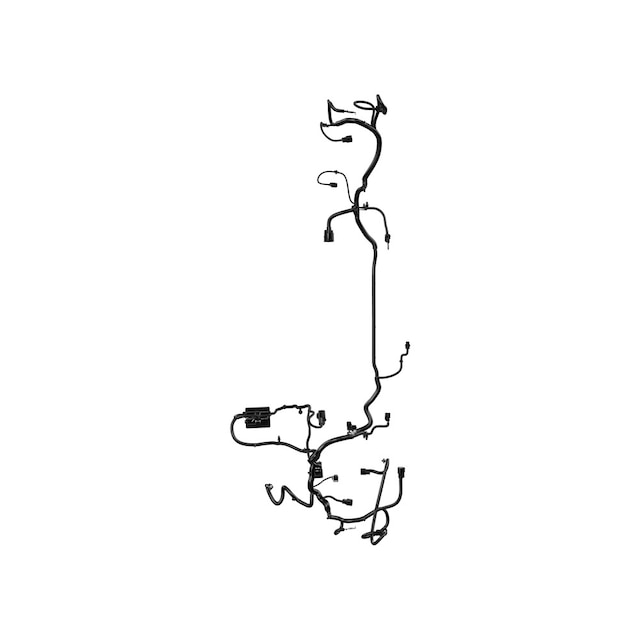 Alternate Image