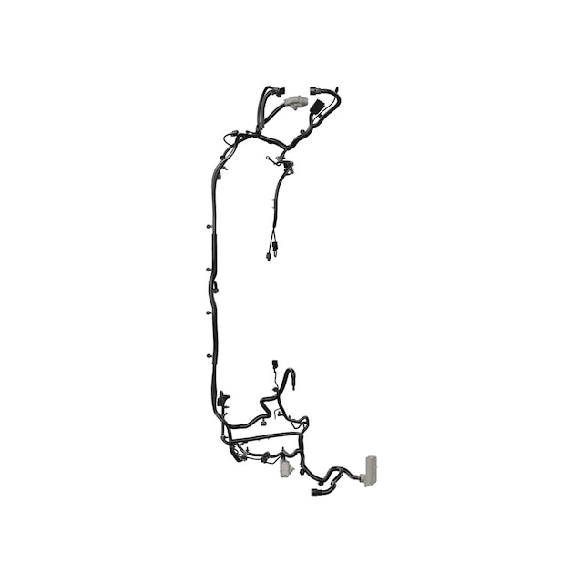Alternate Image