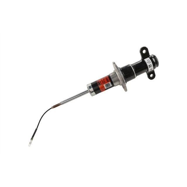 GM Genuine Parts Front Shock Absorber