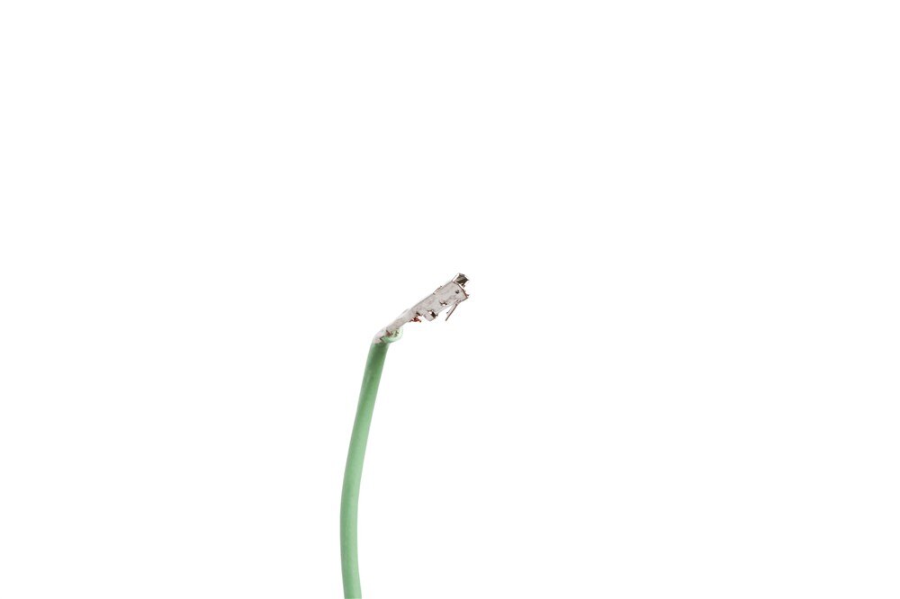 Alternate Image
