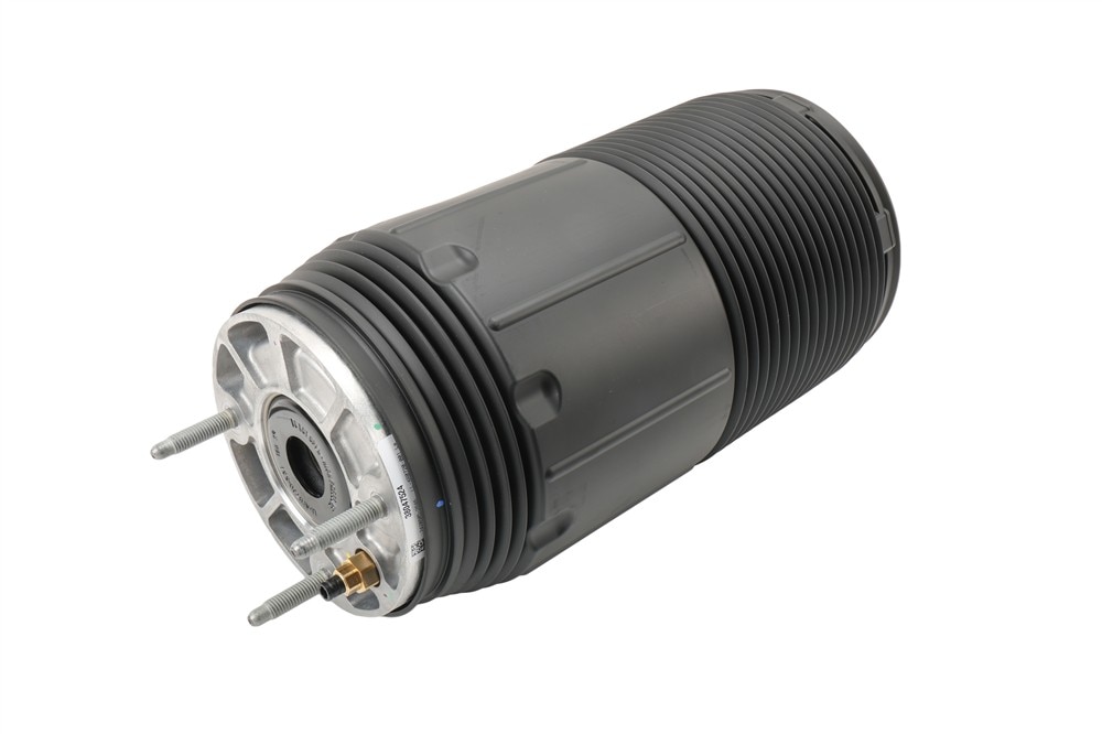 GM Genuine Parts Rear Driver Side Air Spring
