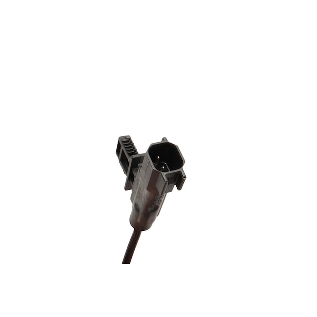 Alternate Image