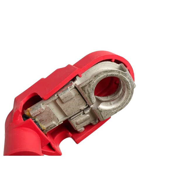 Alternate Image