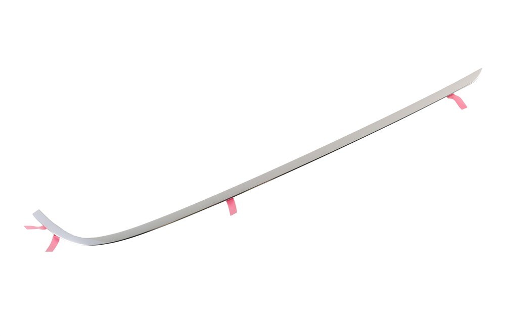 GM Genuine Parts Anodized Galvano Back Body Opening Passengers Side Molding