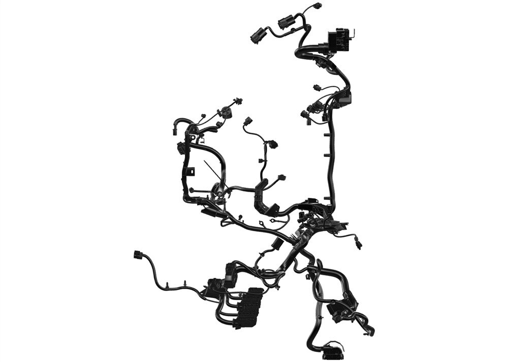 Alternate Image