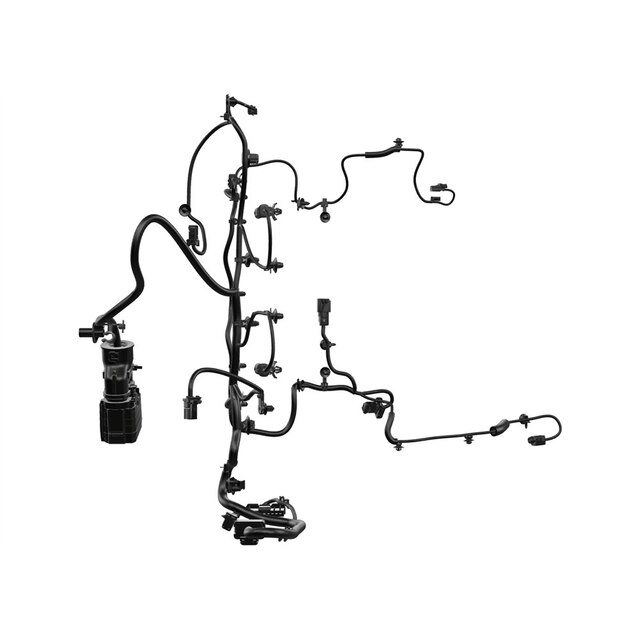 Alternate Image