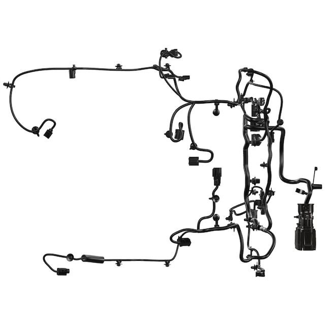 Alternate Image