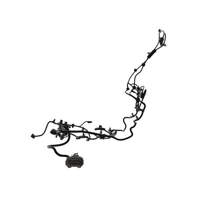 Alternate Image