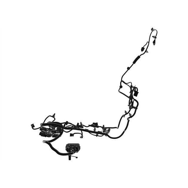 Alternate Image