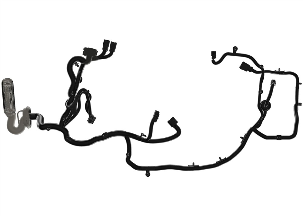 Alternate Image