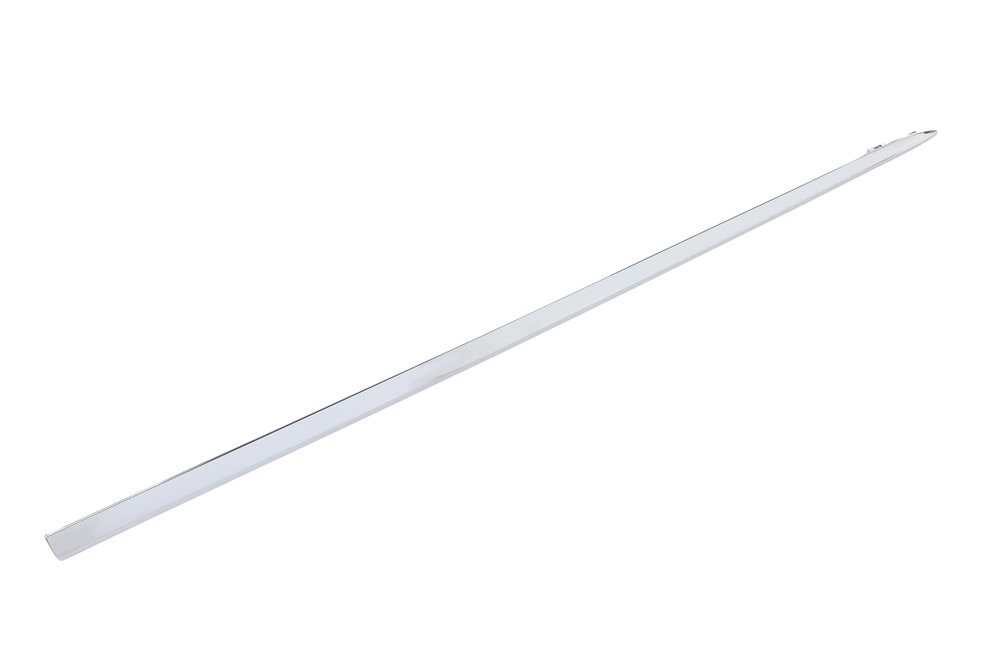 GM Genuine Parts Front Passenger Side Door Molding Insert