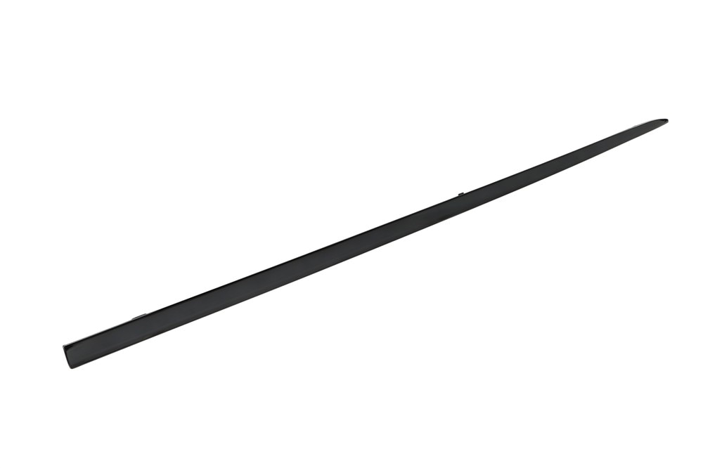GM Genuine Parts Door Molding Insert