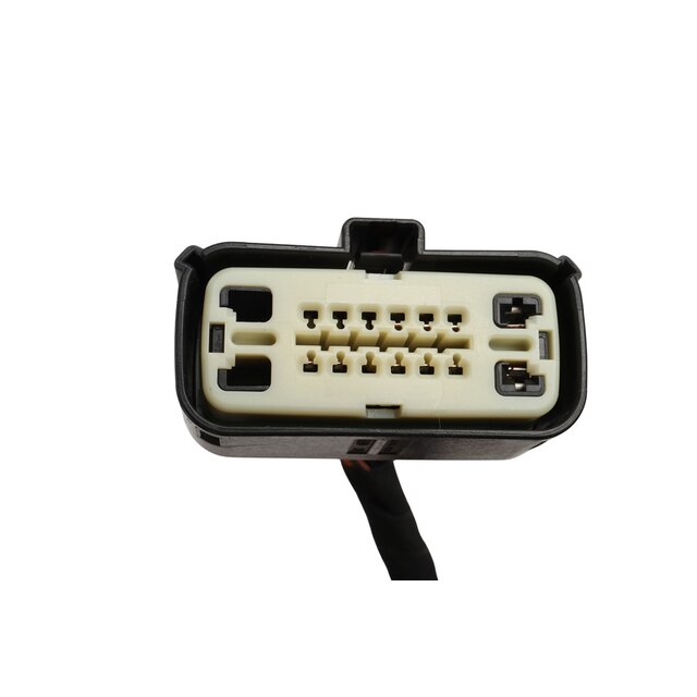 Alternate Image
