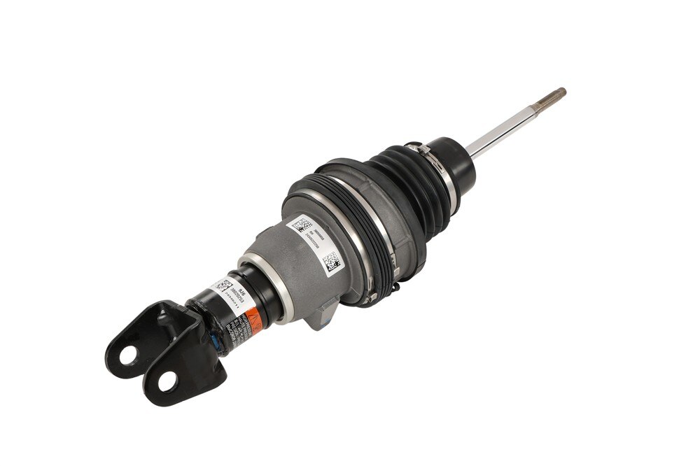 GM Genuine Parts Shaft Valve Spring