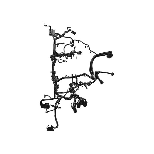 Alternate Image