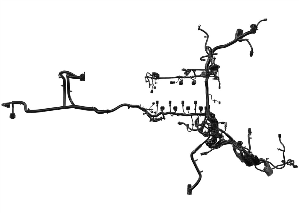 Alternate Image
