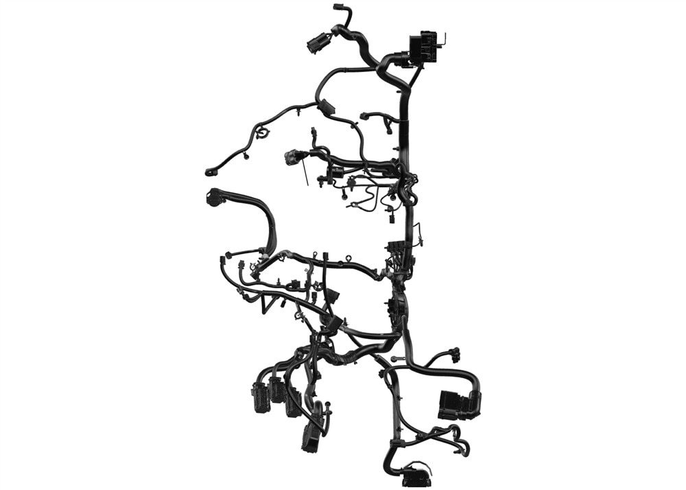 Alternate Image