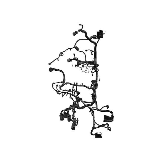 Alternate Image