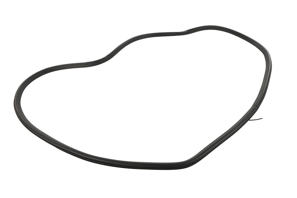 GM Genuine Parts Door Seal