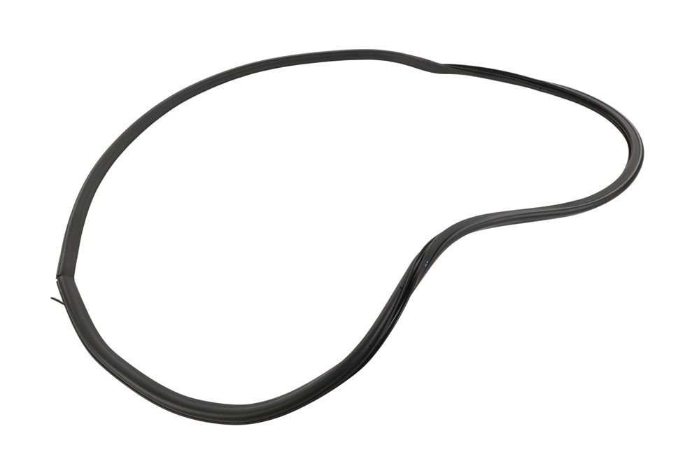 GM Genuine Parts Door Seal