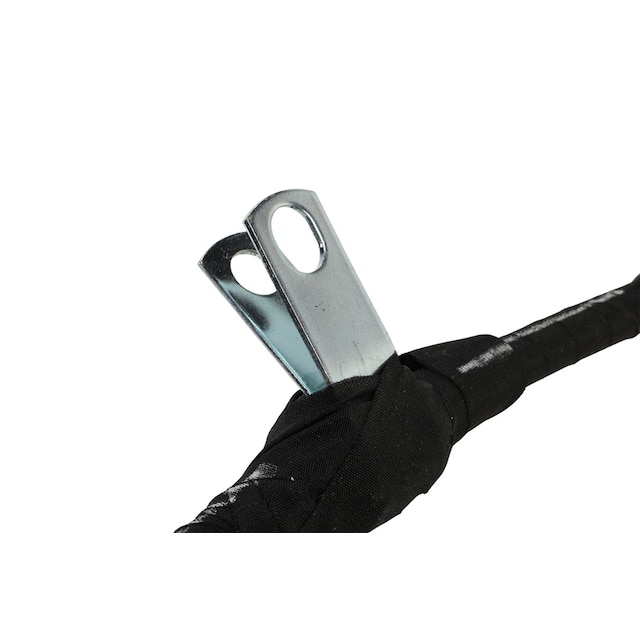 Alternate Image