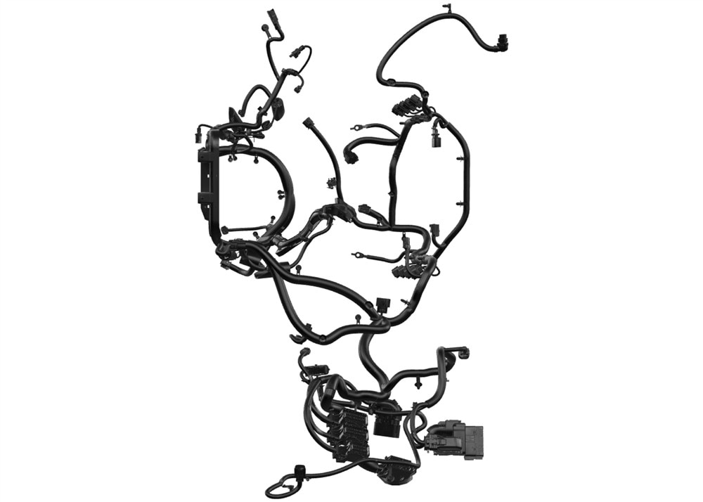 Alternate Image