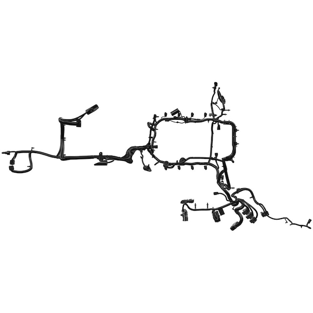 Alternate Image
