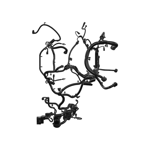 Alternate Image