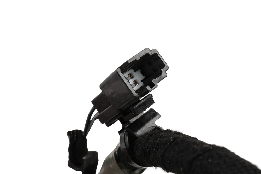 Alternate Image