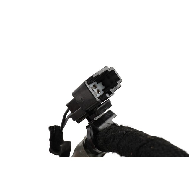 Alternate Image