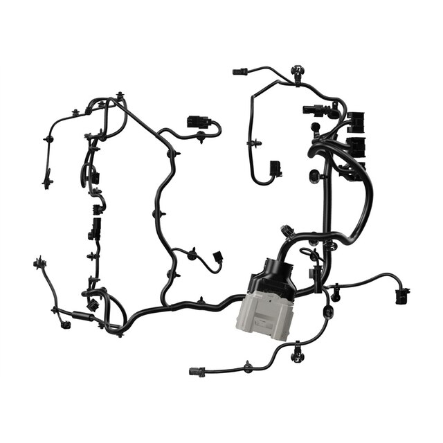 Alternate Image