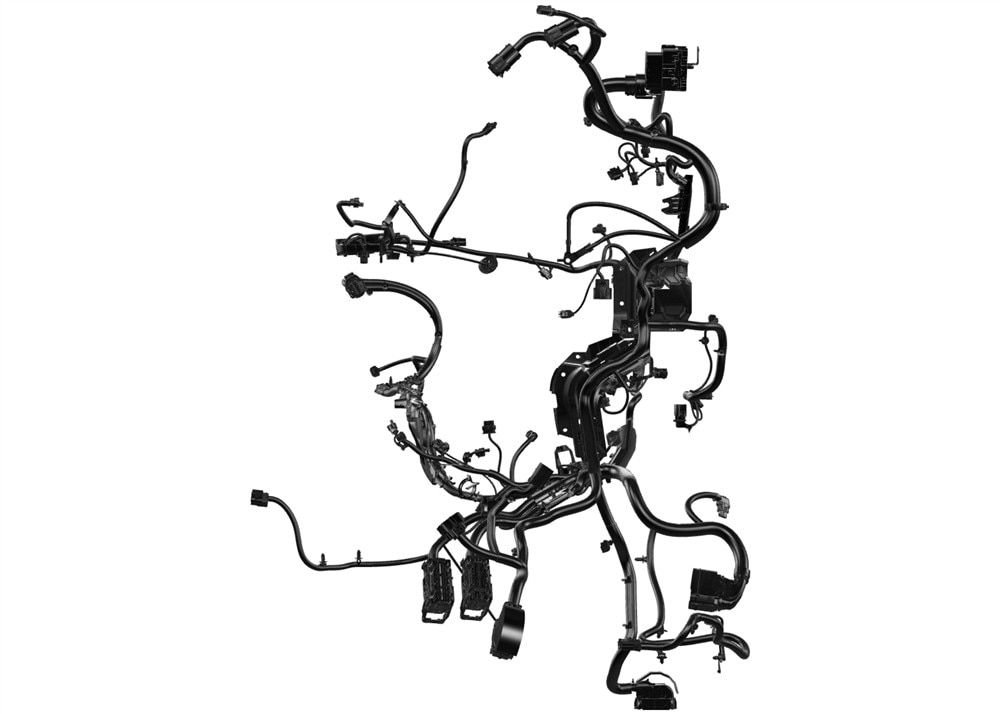 Alternate Image
