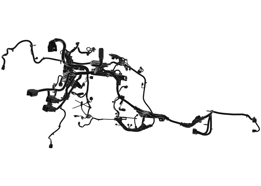 Alternate Image