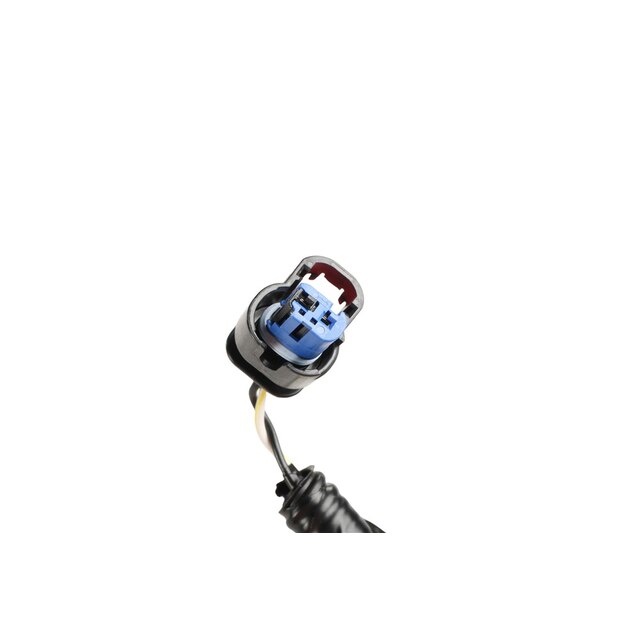 Alternate Image