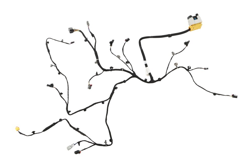 Primary Image