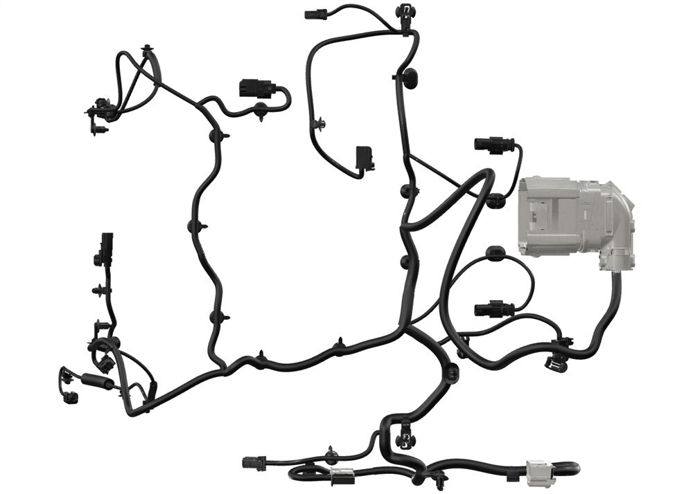 Alternate Image