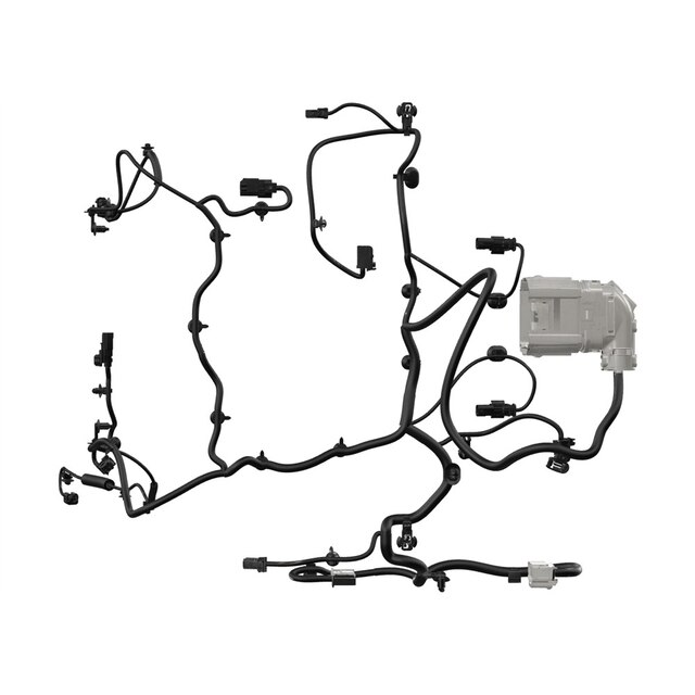 Alternate Image