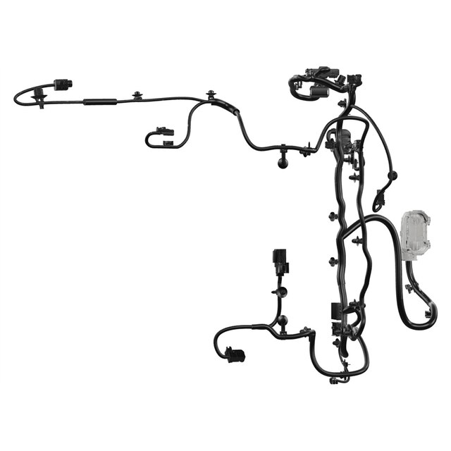 Alternate Image