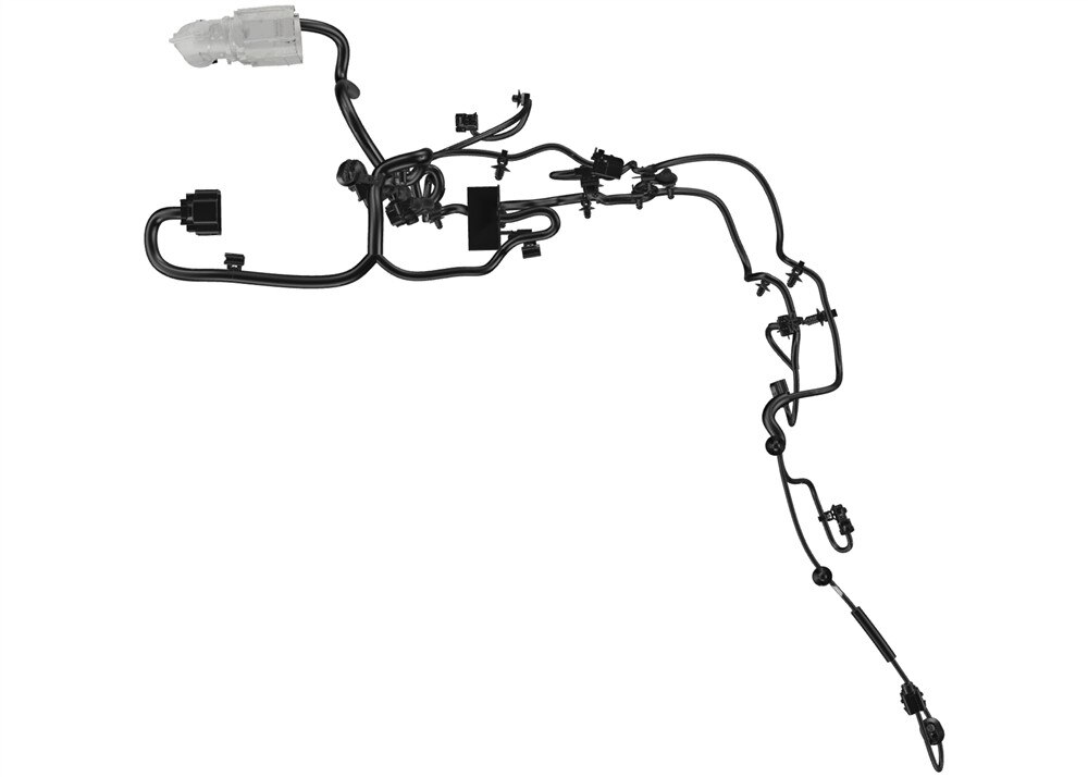 Alternate Image