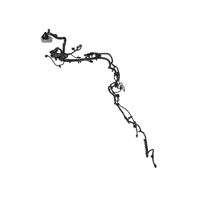 Alternate Image