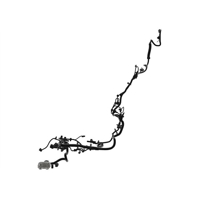 Alternate Image