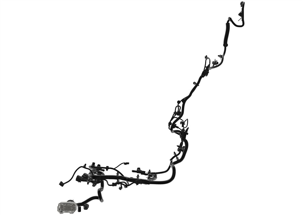 Alternate Image