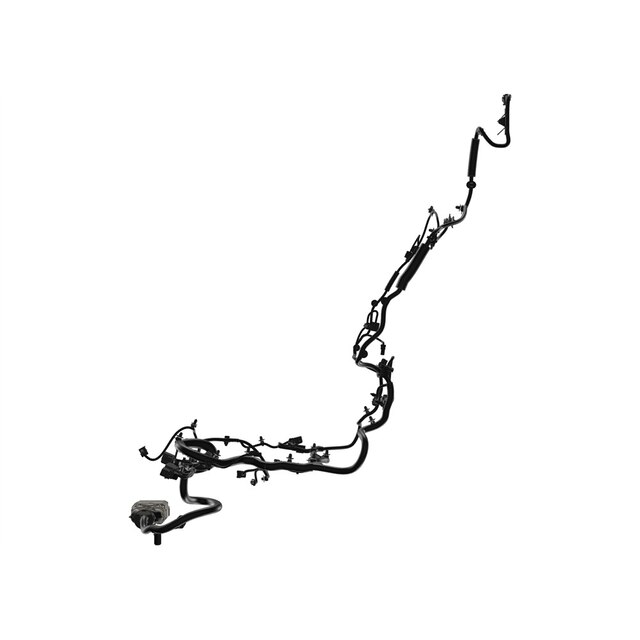 Alternate Image