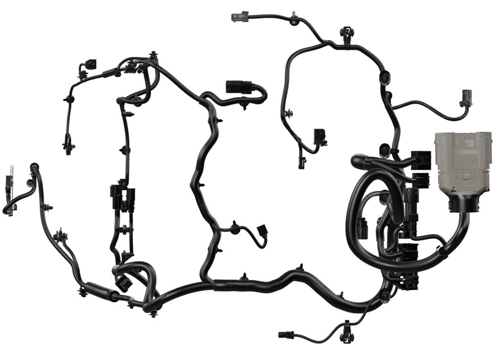 Alternate Image