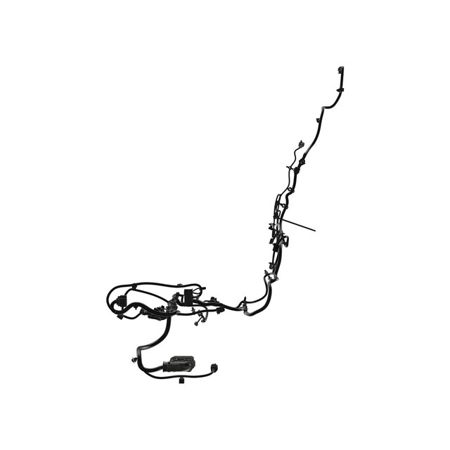 Alternate Image