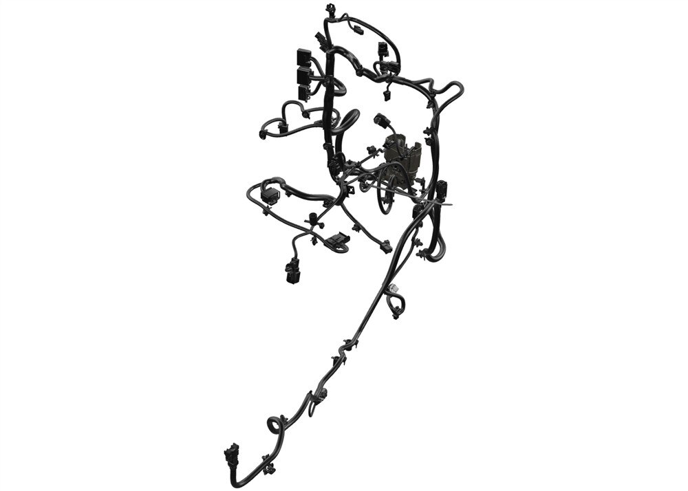 Primary Image