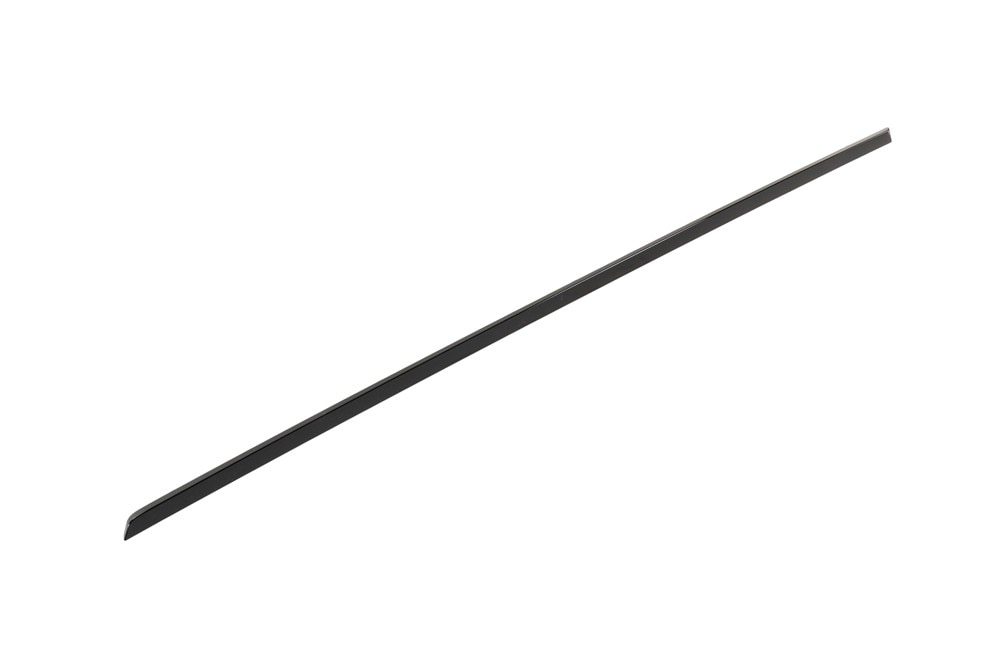 GM Genuine Parts Black Rear Driver Side Door Molding Insert