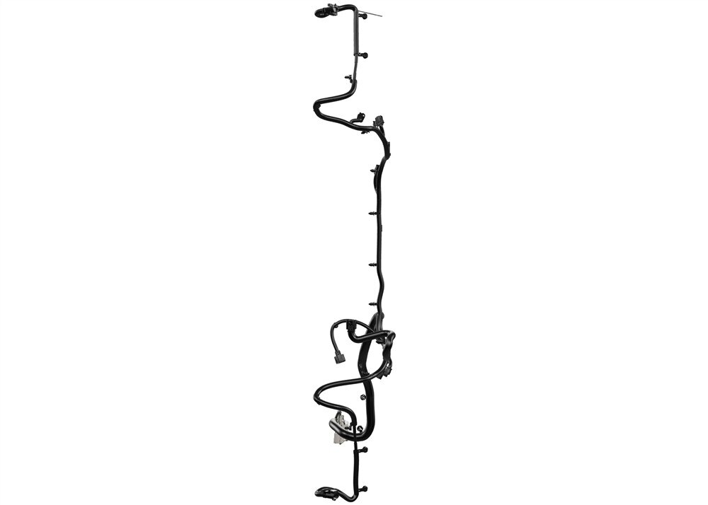 Alternate Image
