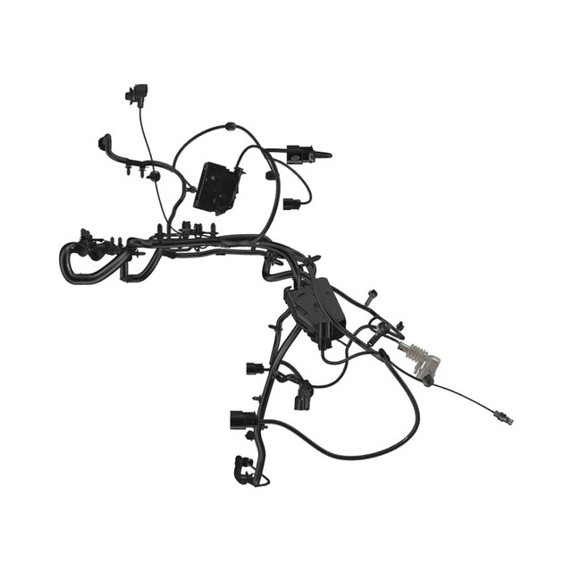 Alternate Image